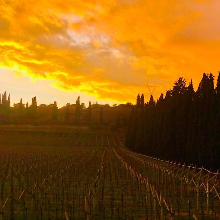 Boccadibacco Bed & Breakfast San Pietro in Cariano Exterior photo