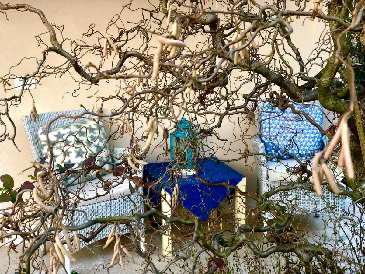 Boccadibacco Bed & Breakfast San Pietro in Cariano Exterior photo